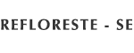 Tesouros da Floresta
